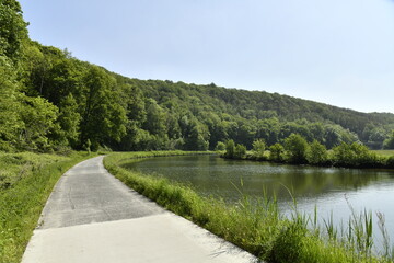 Chemin de halage longeant la Sambre dans une nature bucolique à Thuin 