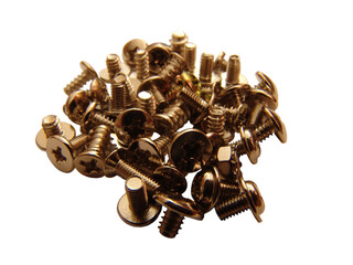 Computer screws isolated on white