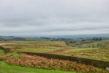 Naklejka premium wall and fields