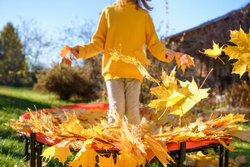 Girl kid jumping on trampoline with autumn leaves. Bright yellow orange maple foliage. Child...