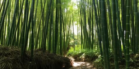 Bamboo Grove. AI