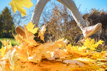 Girl kid jumping on trampoline with autumn leaves. Bright yellow orange maple foliage. Child...