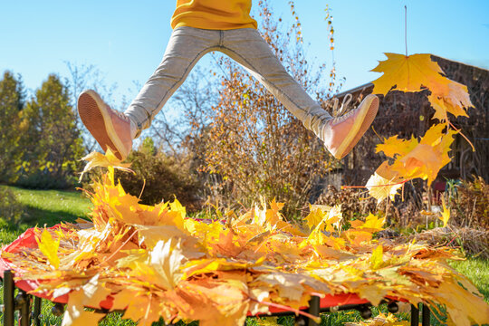 Girl kid jumping on trampoline with autumn leaves. Bright yellow orange maple foliage. Child walking, having fun, playing in fall backyard. Outdoor funny happy season family activity in autumn park