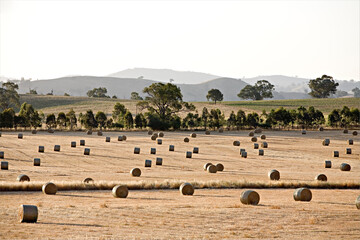 Hay harvest along the Hume highway in NSW Australia