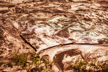 grunge, detailed close-up wet clay texture. Wet mud with drips from rain, sunlight. The surface of Mars
