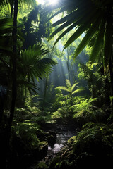 Fototapeta na wymiar Beautiful and mysterious tropical rainforest