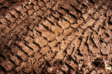 Texture of the trace from the car on the mud. dirt road after the rain Close-up. natural light, bright sunshine
