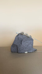 Background for cosmetics of natural beige color. Stone podium. Front view.