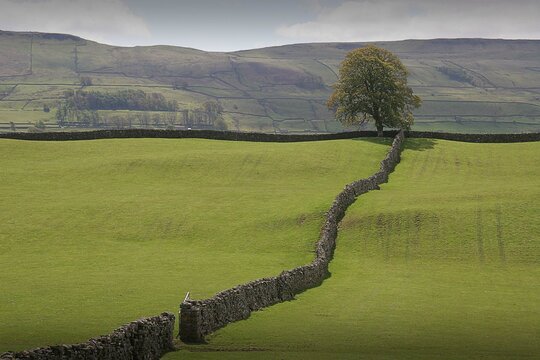 This image was captured near Askrigg in Wensleydale, showing the dry stone walls characteristic of the area.