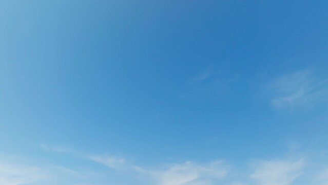 Blooming steppe, wild flax and stipa grass in the wind, untouched protected lands. Beautiful landscape of linen field - linum usitatissimum. Slow motion video