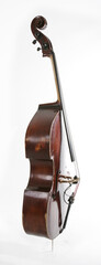 Bass profile © Designpics