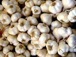 Garlic as selling on a market