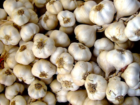 Garlic as selling on a market