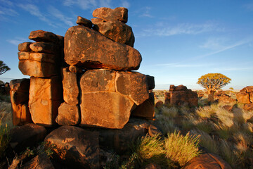 Desert landscape at sunrise with granite rocks and a quiver tree (Aloe dichotoma), Namibia