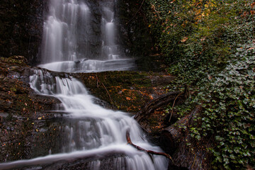 cascada, agua, vegetación