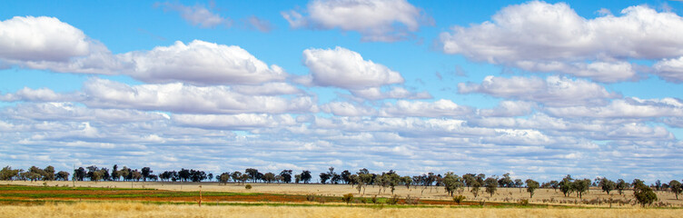 Farmland near Roma, Queensland, Australia. Row of trees on the horizon with cloud formation in the...