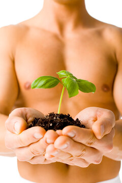 Muscular man holding small plant and soil in his hands. Isolated on white in studio.