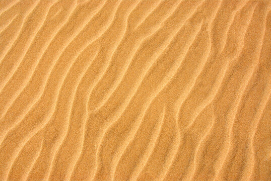 Background of a beautiful pattern on a yellow sand