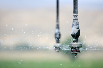irrigation - automated irrigation system in operation, closeup of single hose with sprayer...