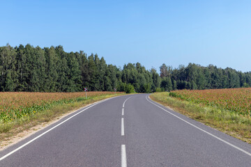 Paved road through the forest
