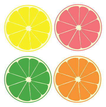 Illustrated citrus fruits:  lime, lemon, pink grapefruit, orange