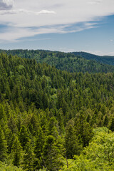 beautiful view of lincoln national forest