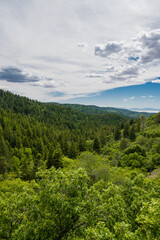 beautiful view of lincoln national forest