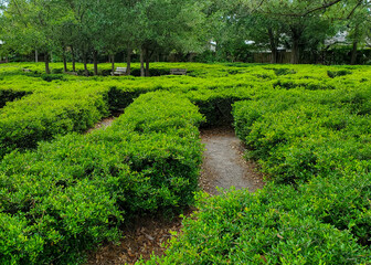 Bird Island Park Maze