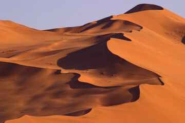 Busy dune in Namibia on the way to Sossusvlei © Designpics