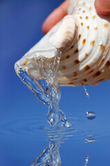 Fresh Water trickling from seashell