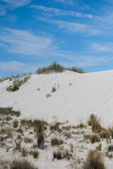beautiful view of gypsum dunes in white sands national park
