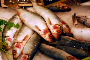 Whole fishes on ice at food market