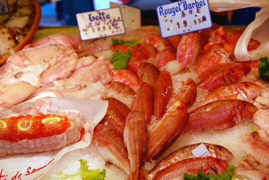 Fresh seafood on ice for sale at fish market