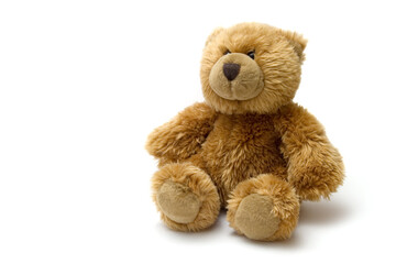 isolated teddy bear on the white background