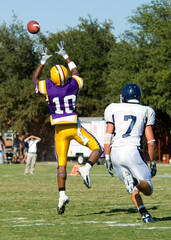 American football being played by young men on a sunny beautiful day
