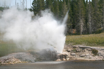 A geyser going off at Yellowstone National Park.