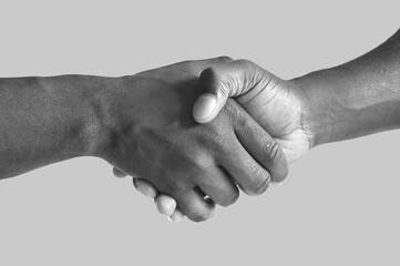 This is an image of two hands performing a handshake.