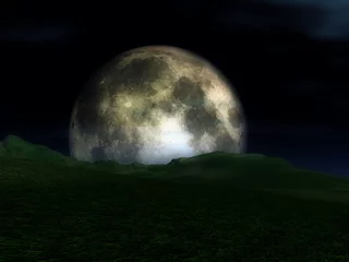 Fotobehang Volle maan en bomen The moon in the nighttime sky in an landscape.