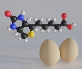 Isolated Biotin molecule with eggs in the white background 3d rendering