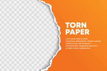Vector torn paper semi circle background