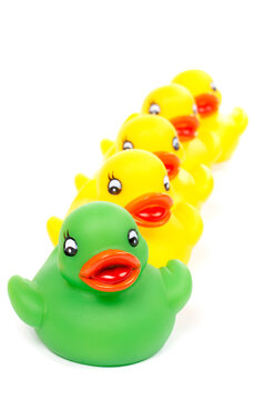 The yellow rubber ducks team with focus on the green leader. Shallow DOF and soft shadow