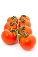 Seven red tomatoes on bunch with shadow over a white background