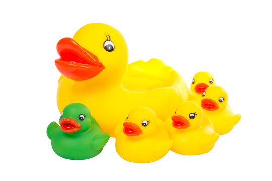 The yellow rubber ducks and the different