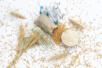 Wheat flour and wheat grain in a brown sack with US dollar bills on white background.
