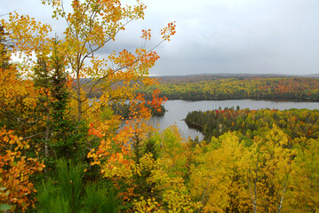 Scenic view of autumn forest and hills in Algonquin provincial park Ontario Canada
