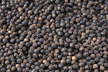 Whole black pepper close-up background