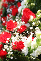Beautiful red roses with focus on single bud in the foreground