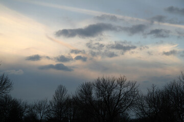 Fototapeta na wymiar Clouds in the Sky at Dusk in Local Park