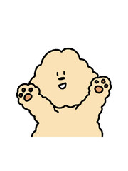 Fluffy bear