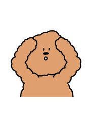 Fluffy bear